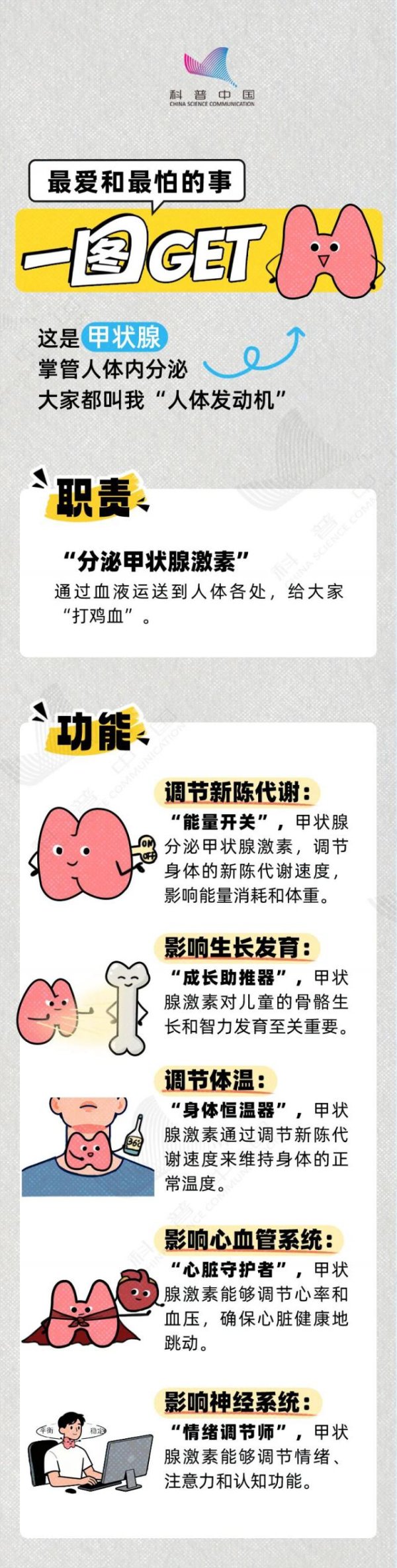 跟投之家 甲状腺最喜欢的 4 件事，坚持一段时间，指标就悄悄稳了